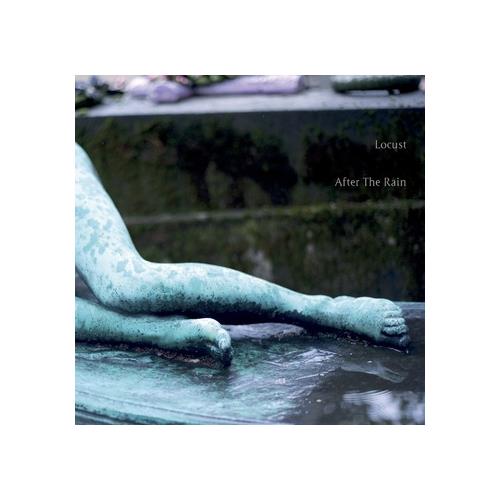 Locust After the Rain (LP)